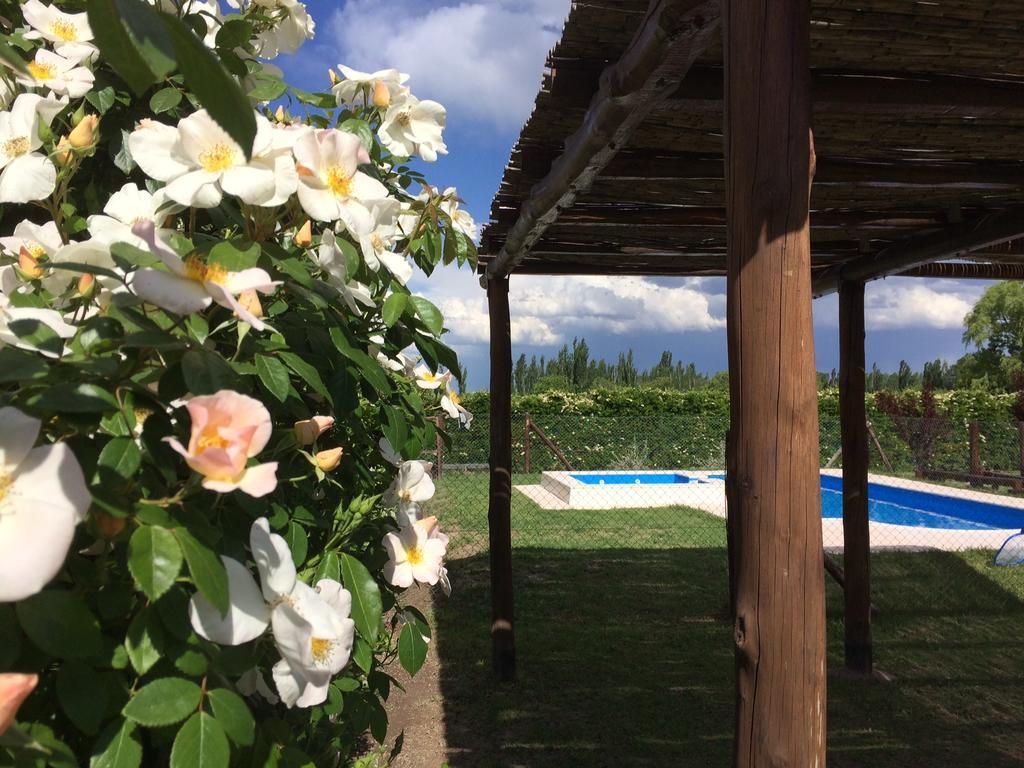 Cabanas La Cosecha San Rafael  Exterior foto